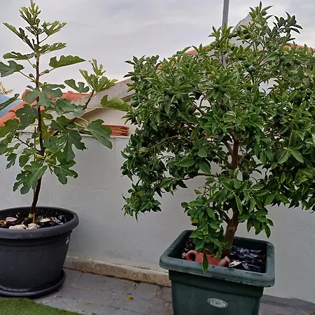Jungher Guest house