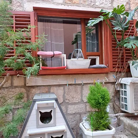 Πανσιόν Jungher Κόρτσουλα